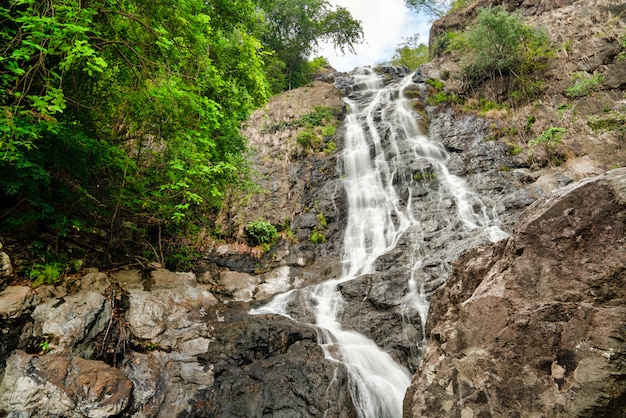 beautiful waterfall in forest