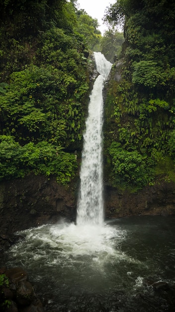 Beautiful waterfall from middle of the lush green costa rican rainforest