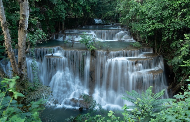 Beautiful waterfall in the green forest