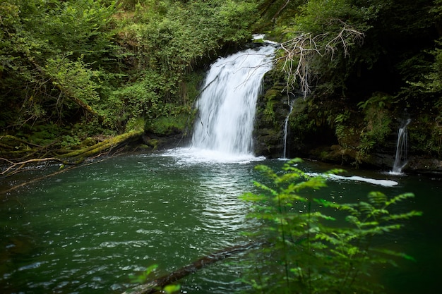 Beautiful waterfall hidden in a remote part of Galicia, Spain.