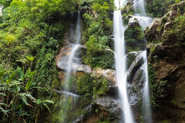 Beautiful waterfall in rain forest Mok Fa Waterfell Changmai Thailand