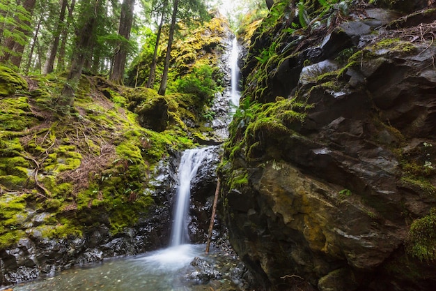 Beautiful waterfall in Vancouver island, Canada