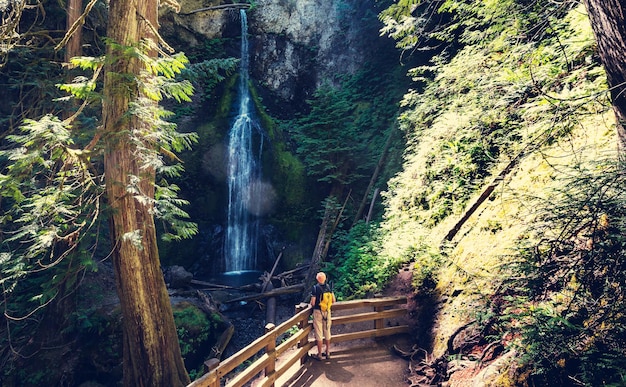 Beautiful waterfall in Vancouver island, Canada