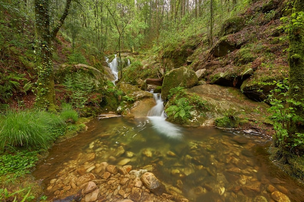 Beautiful waterfalls formed by a river in the area of Galicia, Spain.