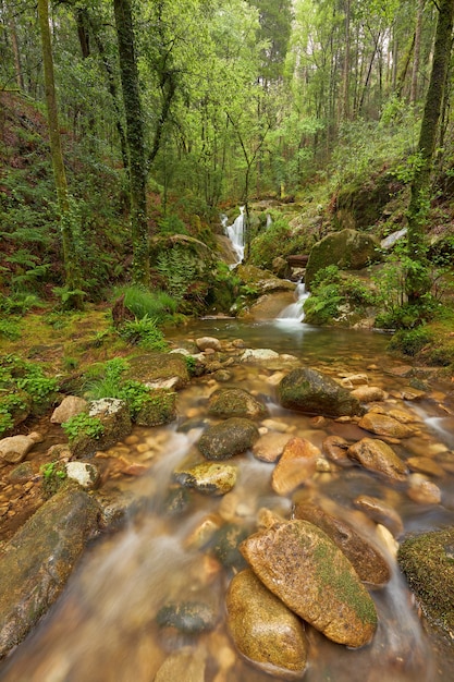 Beautiful waterfalls formed by a river in the area of Galicia, Spain.