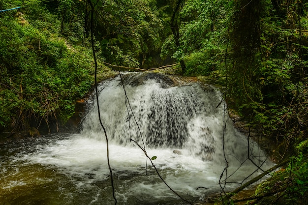 Beautiful waterfalls in the jungle.