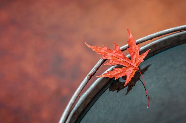 Beautiful wet red maple leaf on the edge of the tin bucket with water.