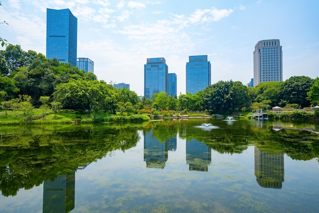 Beautiful Wetland Park and urban skyline in Chongqing China