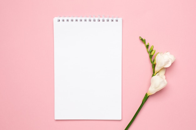 Beautiful white flower and notebook on pink background