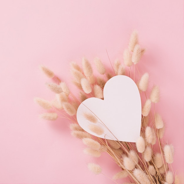 Beautiful white heart with soft dry plants on pastel background