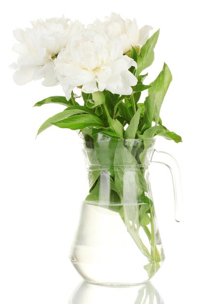 Beautiful white peonies in glass jar with bow isolated on white