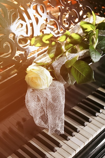 Beautiful white rose with decorative fabric on piano keys close up