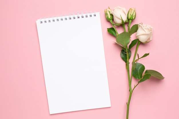 Beautiful white roses flower and notebook on pink background