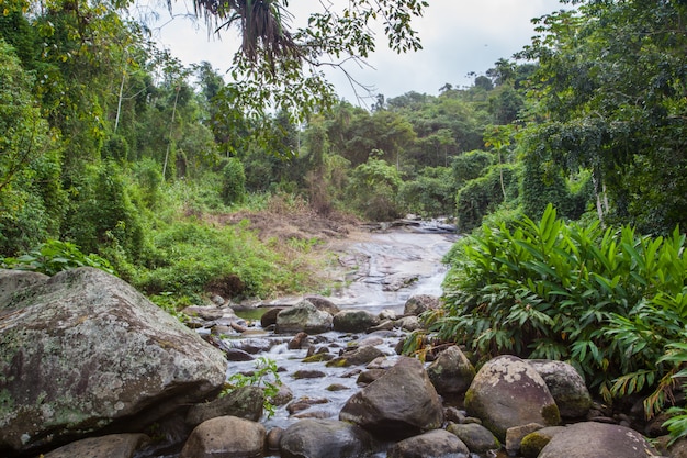 Beautiful White Stone's Waterfall Grauna, Paraty - Grauna Rio de Janeiro