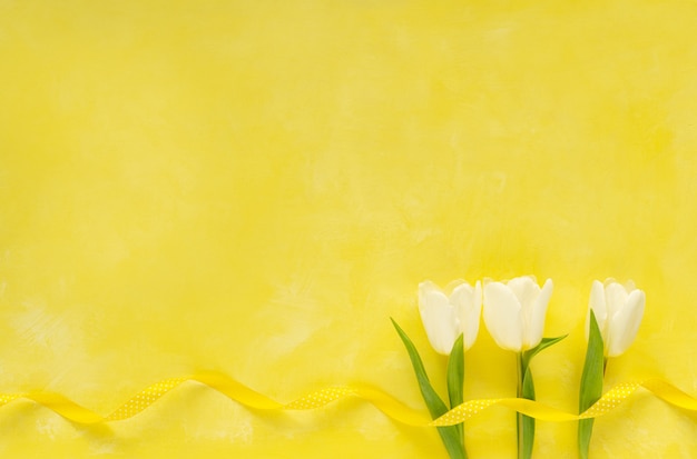 Beautiful white tulips bouquet on yellow