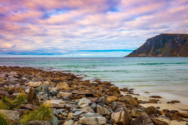 Beautiful wilderness rocky beach view of the fjord Lofoten islands Norway