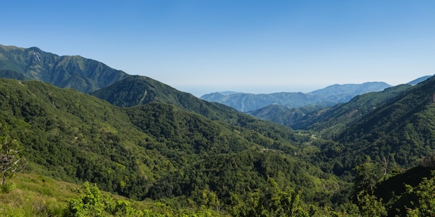 Beautiful wildflowers add vibrant splashes of color to the serene meadows in this mountainous terrain