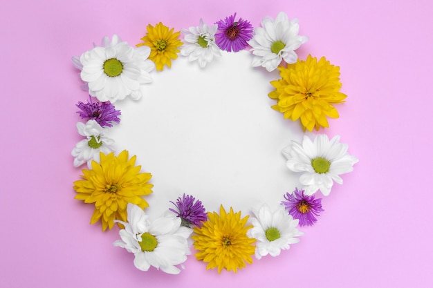 Beautiful wildflowers with a sheet of paper for inscription on a  pink background.