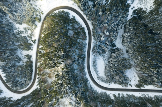 Beautiful winter forest and the road