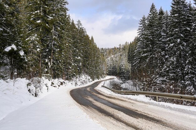 Beautiful winter landscape spruce snow covered sunny weather