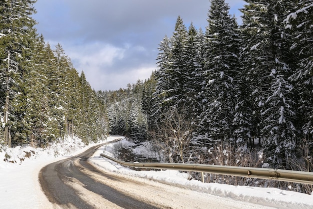 Beautiful winter landscape spruce snow covered sunny weather