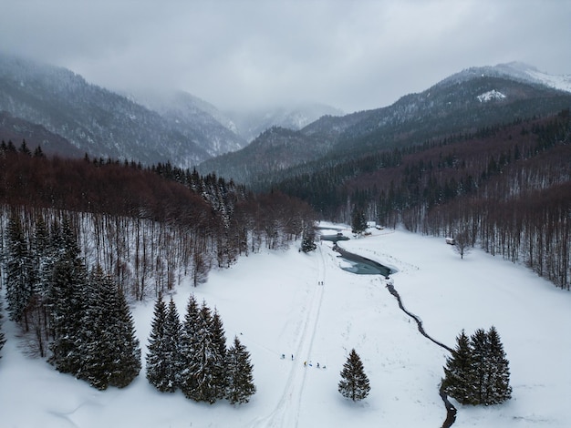 Beautiful winter landscape with snow covered firs at snowy and foggy day