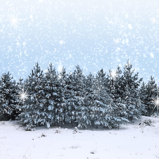 Beautiful winter landscape with snow covered trees