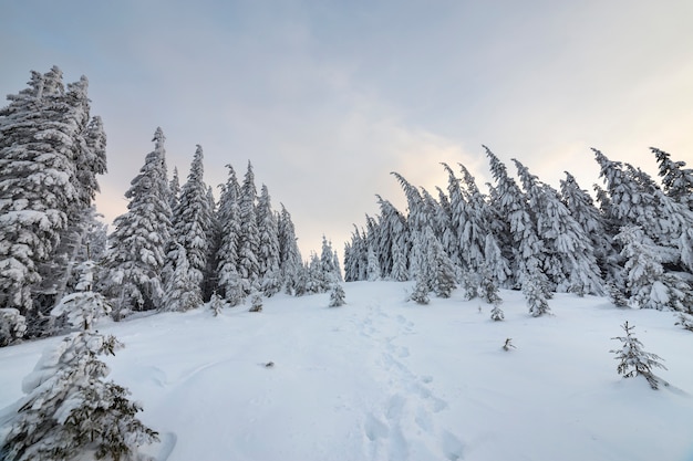 Beautiful winter landscape