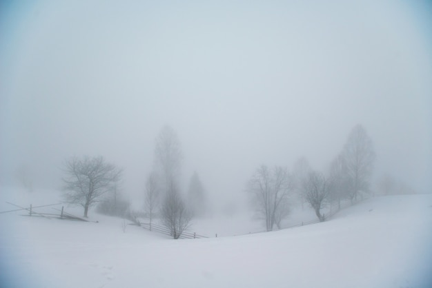 Photo beautiful winter landscape