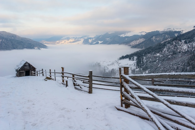 Beautiful winter landscape