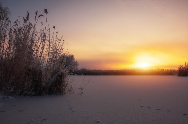 Beautiful winter landscape