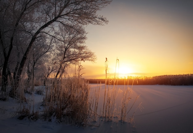 Beautiful winter landscape