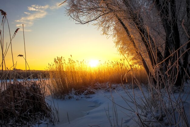 Beautiful winter landscape