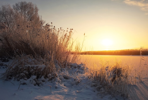 Beautiful winter landscape