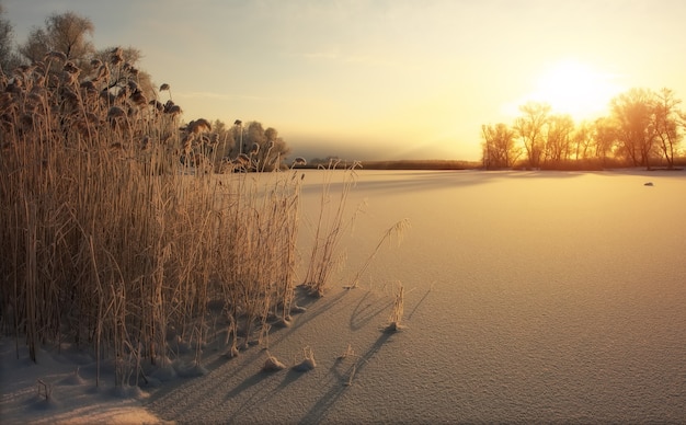 Beautiful winter landscape