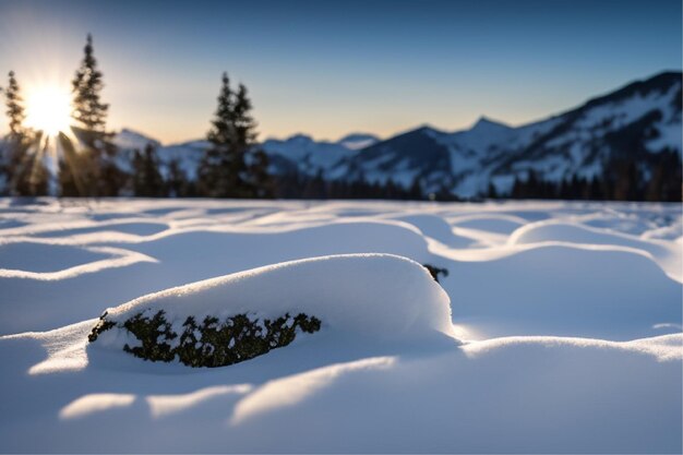 Beautiful winter landscape