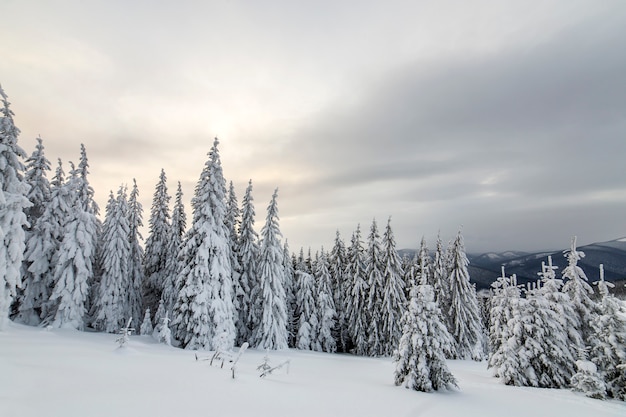 Beautiful winter mountain landscape