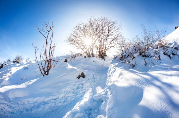 Beautiful winter mountain scenery