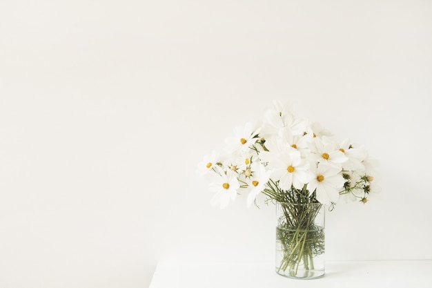 A beautiful with white chamomile, daisy flowers in vase standing on white table