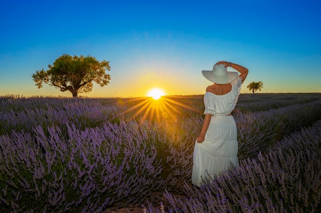 Beautiful woman in lavender field at sunset