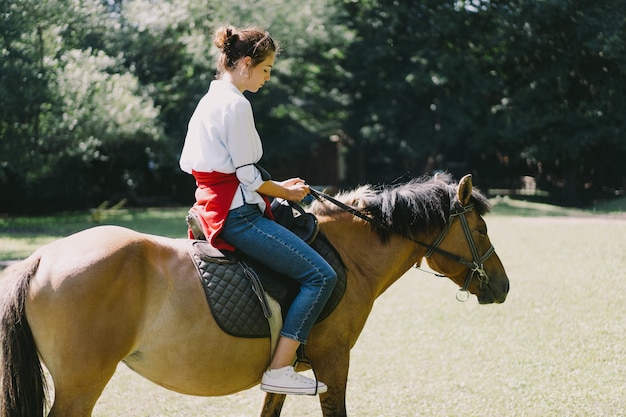 Beautiful woman rides a horse Woman is riding a horse Horse riding training for woman Controlling the horse with the reins