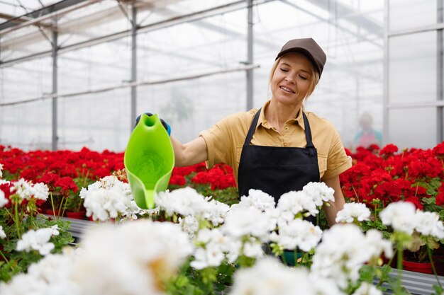 Beautiful woman wearing apron working in greenhouse with green watering can