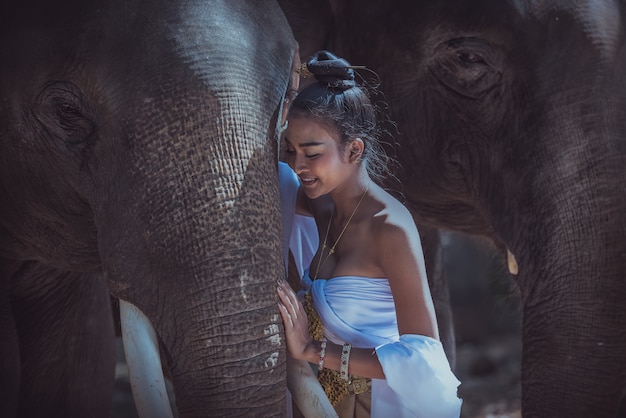 Beautiful woman wearing Thai silk traditional dresses with elephant, Surin Province, Thailand