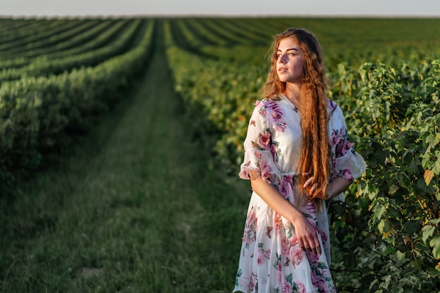 Beautiful woman with long curly hair and freckles face on currant field background. Girl in a light dress walks in the summer sunny day