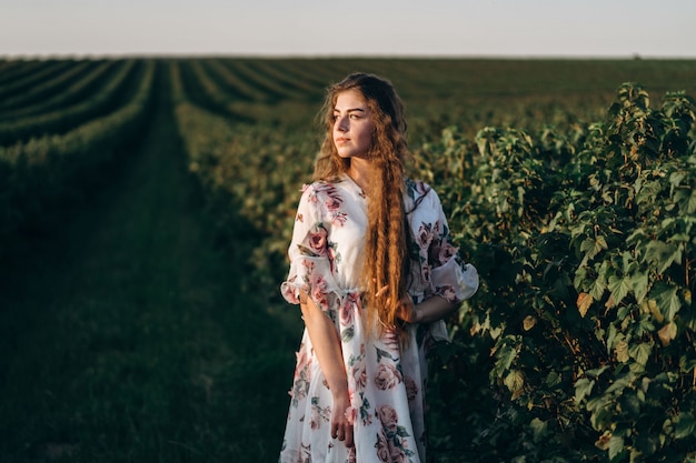 Beautiful woman with long curly hair and freckles face on currant field. woman in a light dress walks in the summer sunny day