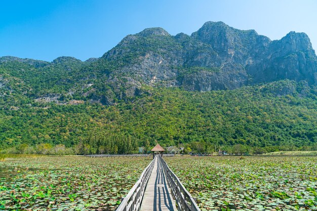 beautiful wood walk way at Sam Roi Yot Freshwater Marsh or Bueng Bua Khao Sam Roi Yot National Park in Thailand