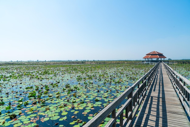 beautiful wood walk way at Sam Roi Yot Freshwater Marsh or Bueng Bua Khao Sam Roi Yot National Park in Thailand