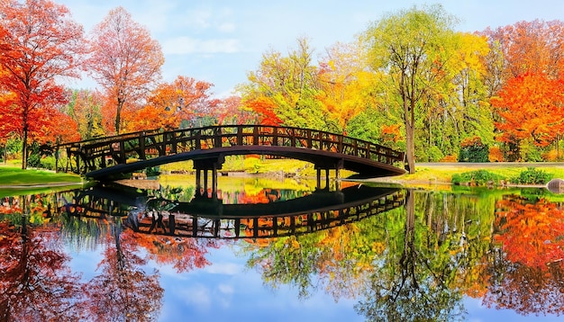 Beautiful wooden bridge over the pond in a colorful autumn park