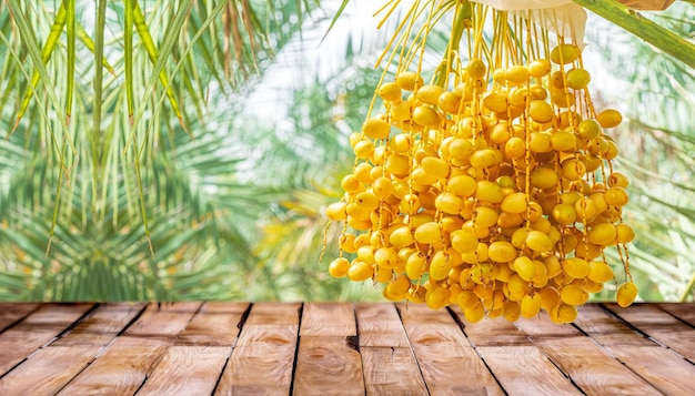 Beautiful wooden floor and Barhi Dates palm yellow fruits field nature background agriculture product standing showcase background Barhi Dates palm tree garden and healthy food concept