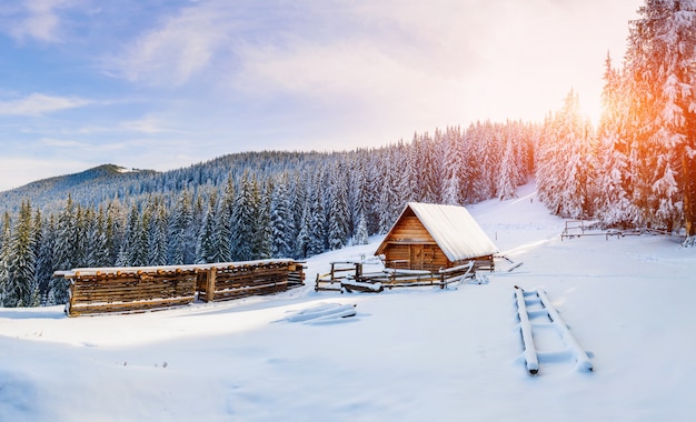 Beautiful wooden house